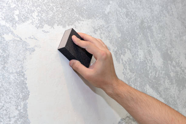 Trusted Kaukauna, WI Mold Removal Experts