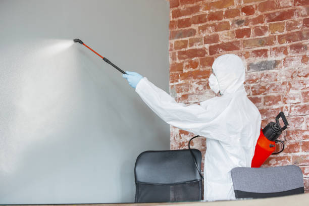 Best Biohazard Mold Removal  in Kaukauna, WI