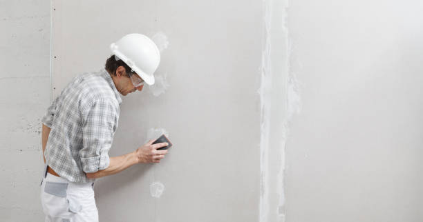 Best Mold Remediation for Healthcare Facilities  in Kaukauna, WI