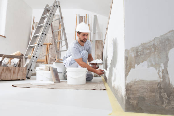 Kaukauna, WI Mold Removal Company