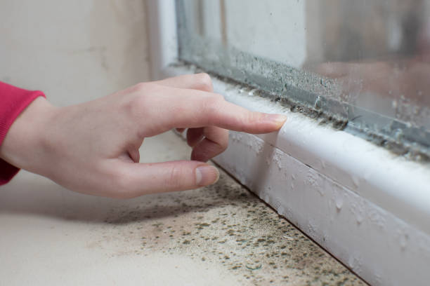 Best Post-Remediation Verification Testing  in Kaukauna, WI