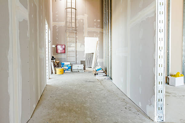 Best Basement Mold Removal  in Kaukauna, WI