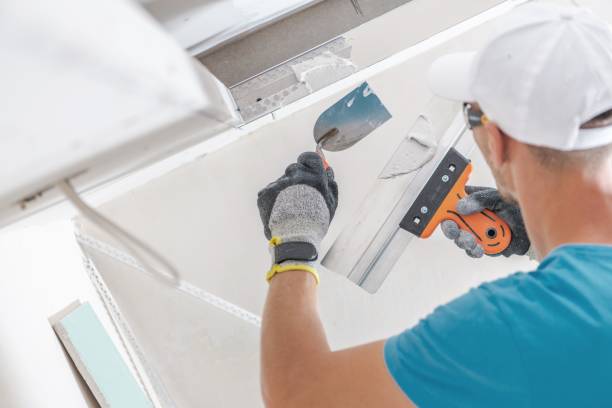 Mold Odor Removal Services in Kaukauna, WI